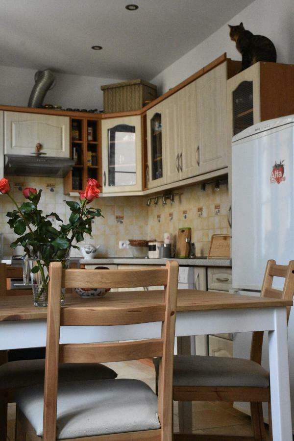 Apartament Rynek 11B Opole Bagian luar foto